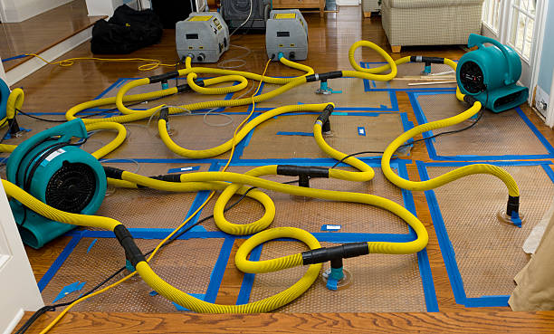 Professional Crawl Space Water Removal technician working in Frontenac, MN